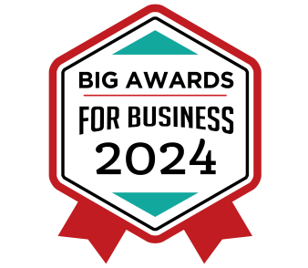 Big Awards for Business 2024